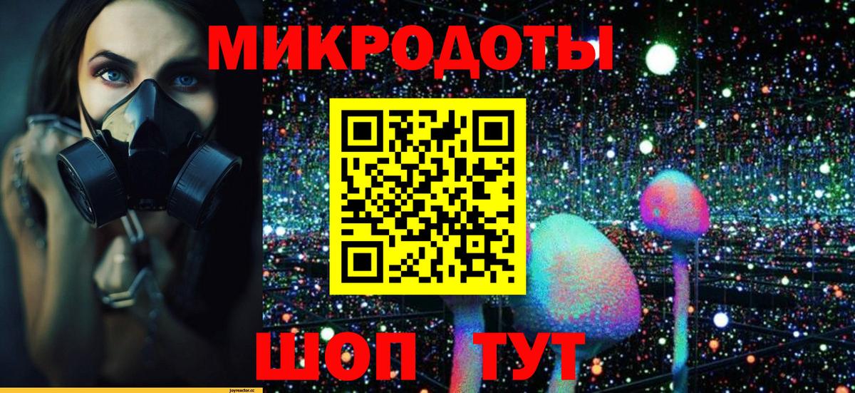Галлюциногенные грибы Psilocybe  Вход с VPN  Тула  закладки  Галлюциногенные грибы ЛСД 